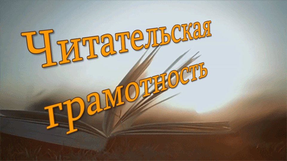 Читательская грамотность.