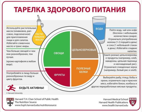 Неделя здорового питания.